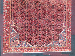 Antique Persian Malayer rug in very nice condition and very nice colours, all original. Circa: 1910-15.

Size:200x135 centimeters.                