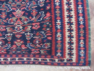 Antique Seneh kilim very nice colors and very nice condition Sirca 1900 or 1910                   