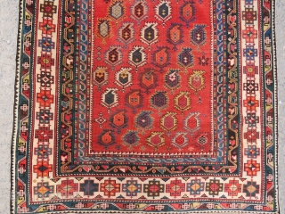 Caucasian Shirvan very nice colors and very good condition all original size: 1,95x1,26 cm Circa 1910                 