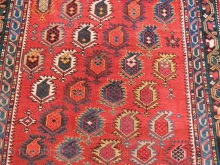 Caucasian Shirvan very nice colors and very good condition all original size: 1,95x1,26 cm Circa 1910                 