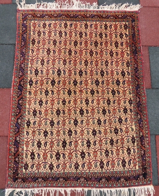 Avshar rug wonderful colors and excellent condition all original size 1,57x1,17 cm Circa 1900                   