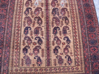 Baluch rug wonderful colours and excellent condition all orginal size: 2,00 X 1,12 cm Circa 1900                 