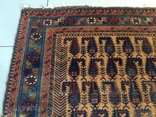 Antieque Baluch rug,
117x150 cm
Some condition issues                           