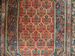Afshar, with high pile and wonderful colors. Size: 190 x 140 cm.                     