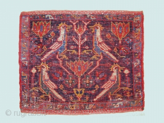 Afshar Bagface, Circa 1900, Great colors, Some professional restoration, Size: 38 x 32 cm. 15 x 12.5 inch.               