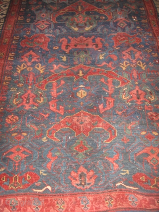 Bidjov Rug
19th c.                              