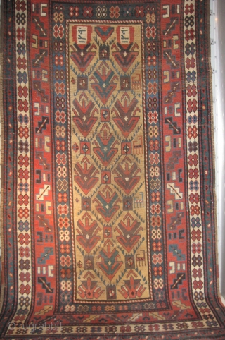 Kazak Rug                               