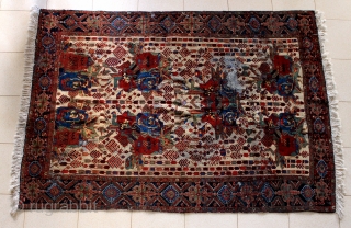 Gol Farang Southeast Persian Rug. late 19th Century Some Condition Issues No Repairs Except the Fringes (not Originals) Size: 180X130 cm            