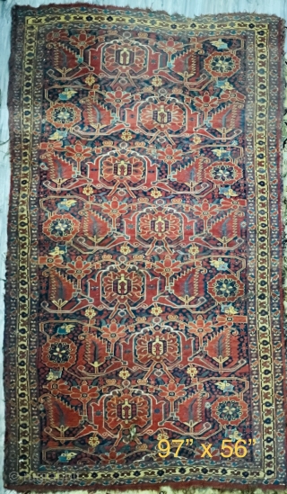 Bashir Rug with
palmette and pine leaf patterns red and blue ground
97” x 56” 8,56 
Condition , holes, repairs
               