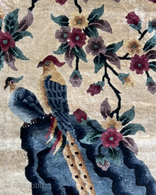 Beautiful Late Qing Chinese Rug 86 x 49                         