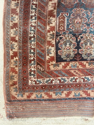 7  X 14 FT 19th Century Antique Ghashghaei / Qashqai Rug

It was a challenge to photograph this carpet because of its size and all of the details.  The photos were  ...