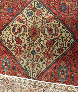 1890 Sarouk Farahan. Overall, very low sheer pile throughout rug with 2 -3 inch area showing some foundation ... see pic of 1 area. Rug has been cleaned and no areas have  ...