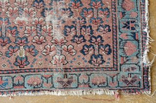 Antique Kurdish Juval

Woven Ca. 1870, Northwest Persia. This rug has a Bakhshayesh type weave and was designed with the finest hand-spun natural wool.

width:1'7"
length: 4'1"
rug category size: 3'x5' and smaller
dominant colors: Salmon &  ...