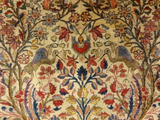 Fine Antique Silk Persian Kashan Tree of Life Rug Genuine Woven Carpet Art Intricate Santa Barbara Design Center Rugs and More

4'2" x 6'7"          