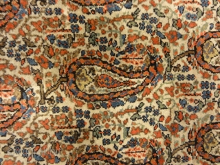 Fine Antique Sarouk Farahan Botteh with Rare Ivory Background Genuine Woven Carpet Art

4'3" x 6'4"                  