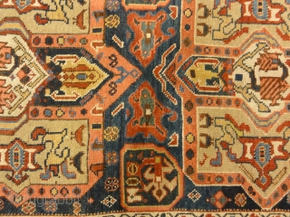 Proto Kurdish Northwest Persian Circa 1700s

3'8" x 6'9"                         