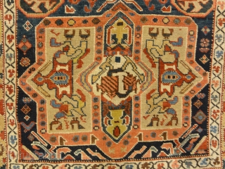 Proto Kurdish Northwest Persian Circa 1700s

3'8" x 6'9"                         