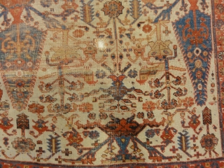 Rare Persian Proto Afshar Rug 

3'9" x 6'                         