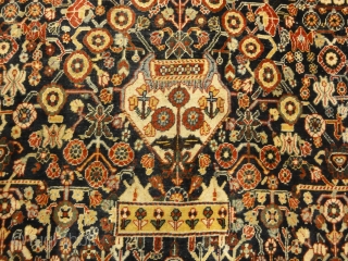 Very Rare Antique Qashqai 1001 Flowers Rug
5'4" x 8'                        