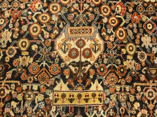 Very Rare Antique Qashqai 1001 Flowers Rug
5'4" x 8'                        