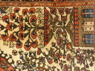 Sarouk Farahan Rug Circa 1880
4'3" x 6'7"                          