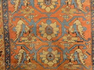 Antique Bakshayesh Rug Circa 1880
5′ x 6’4″                          