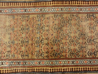 Antique Sarab Rug
3'9" x 11'2"                            