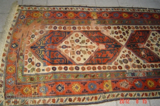 Antique runner 320cmx120cm
pazyryk antique
Amsterdam                             