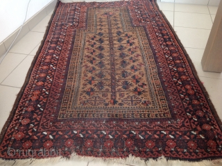 Baluch teymori
185cmx96cm                               