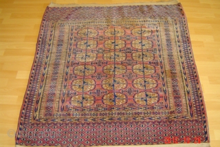 Antique turkmem/buchara
124cm x 112cm
pazyryk antique                            