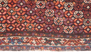 South Persian Bagface 51 x 63 cm / 20 x 24 inches                     
