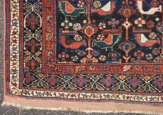 Afshar rug, from end 19th century, with fantastic Colors and rare design, size: 167x131cm                   