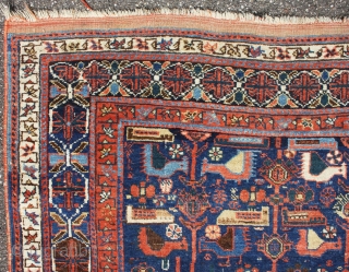 Afshar rug, from end 19th century, with fantastic Colors and rare design, size: 167x131cm                   