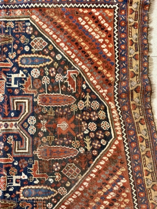 Collectible sw Persian rug 265x140cm                            