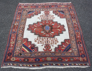 rare whiteground Afshar, with great colors in squarish size: 160x145cm                       