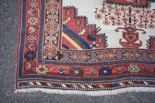 rare whiteground Afshar, with great colors in squarish size: 160x145cm                       