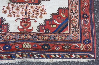 rare whiteground Afshar, with great colors in squarish size: 160x145cm                       