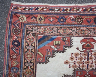 rare whiteground Afshar, with great colors in squarish size: 160x145cm                       