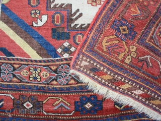 rare whiteground Afshar, with great colors in squarish size: 160x145cm                       