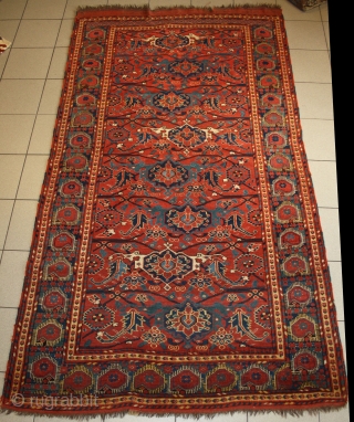 very rare Beshir, from mid 19th century with superb colors and very good condition, size: 257x144                 