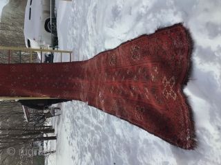 Turkmen carpet "Beshir", long path, very rare, apparently weaved for some palaces, circa 1900, antiques, 85x 560 (cm)
    Knots, warp and weft are blended with hand-spun and goat hair.  ...