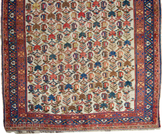 A decorative Afshar rug from the tribes of South Iran 187x150cm.Late 19th Century.

More info: https://sharafiandco.com/product/antique-afshar-rug-187x150cm/

                  