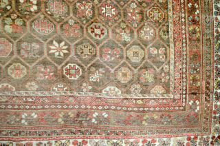 Antique Bakhtiar Hinegoon Carpet 495x360cm in good condition.                         
