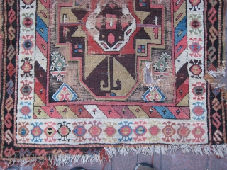 An NWP Long Rug with Guls                           