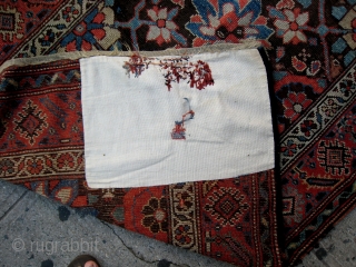 An Minakhani Kurdish Rug with messed up corner                         