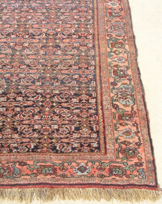 19th C Antique Persian All Wool Bidjar Halvaii Rug Carpet Tribal 49x68 Mint Condition

Wool Pile on Wool Warp and Weft

An exceptional Antique Persian Tribal Bidjar / Bijar Halvaii Class Rug Carpet in  ...