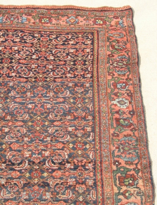 19th C Antique Persian All Wool Bidjar Halvaii Rug Carpet Tribal 49x68 Mint Condition

Wool Pile on Wool Warp and Weft

An exceptional Antique Persian Tribal Bidjar / Bijar Halvaii Class Rug Carpet in  ...