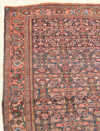 19th C Antique Persian All Wool Bidjar Halvaii Rug Carpet Tribal 49x68 Mint Condition

Wool Pile on Wool Warp and Weft

An exceptional Antique Persian Tribal Bidjar / Bijar Halvaii Class Rug Carpet in  ...