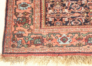 19th C Antique Persian All Wool Bidjar Halvaii Rug Carpet Tribal 49x68 Mint Condition

Wool Pile on Wool Warp and Weft

An exceptional Antique Persian Tribal Bidjar / Bijar Halvaii Class Rug Carpet in  ...