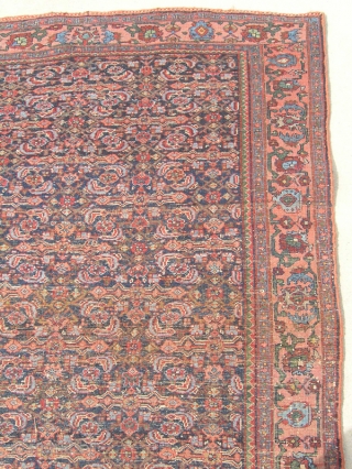 19th C Antique Persian All Wool Bidjar Halvaii Rug Carpet Tribal 49x68 Mint Condition

Wool Pile on Wool Warp and Weft

An exceptional Antique Persian Tribal Bidjar / Bijar Halvaii Class Rug Carpet in  ...